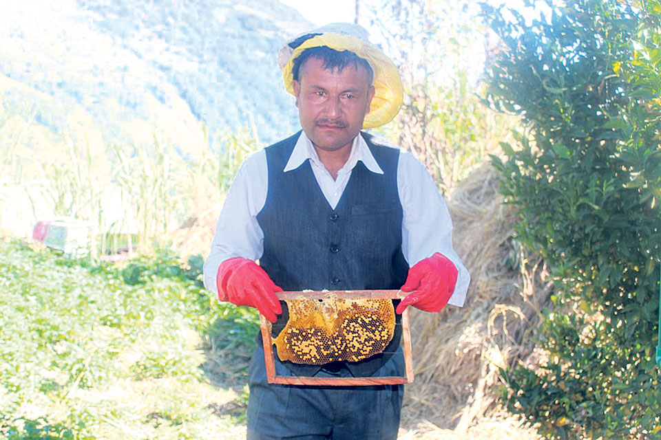 beekeeping-works